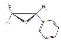 510_NMR Tree Diagram.JPG